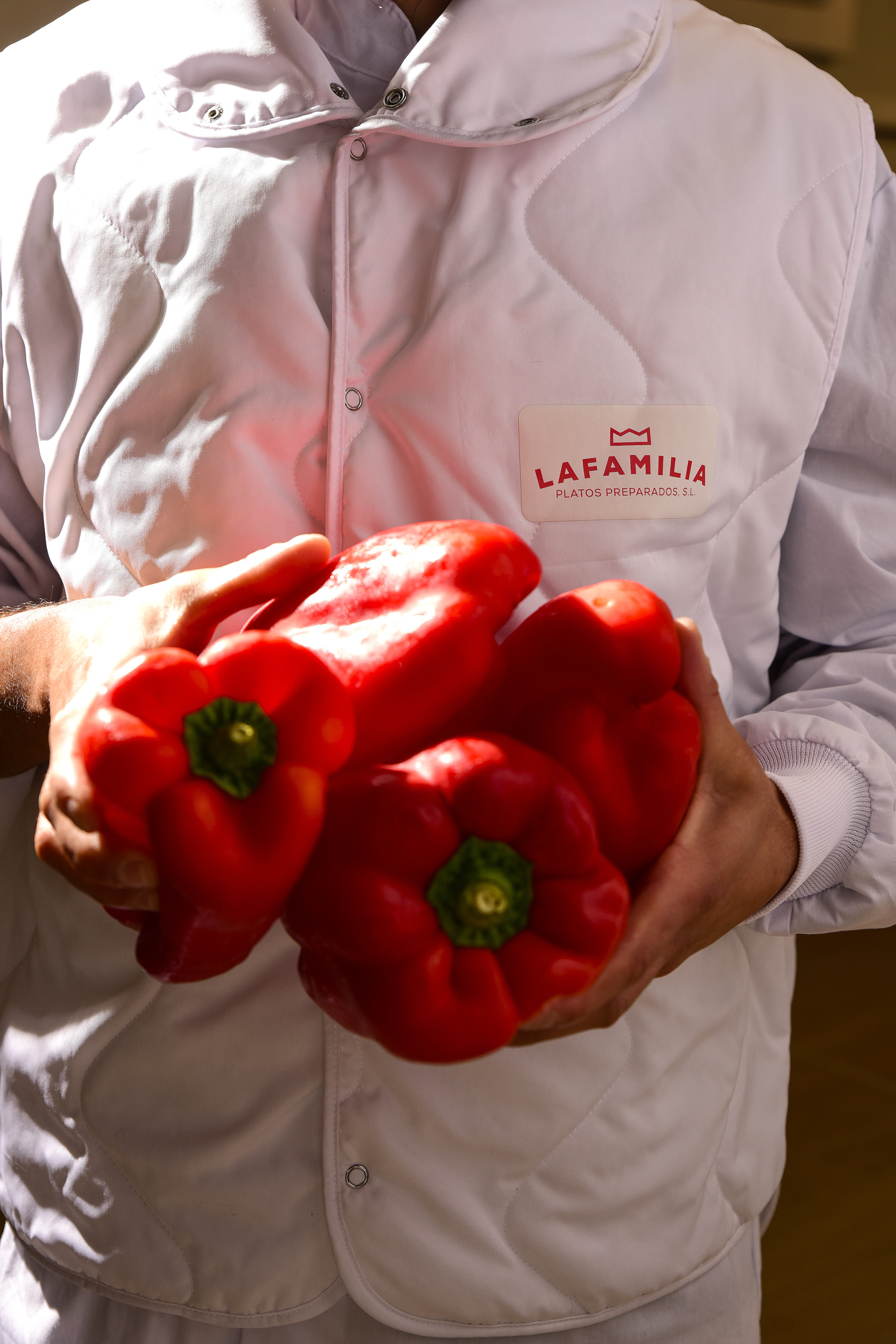 Elaboración gourmet